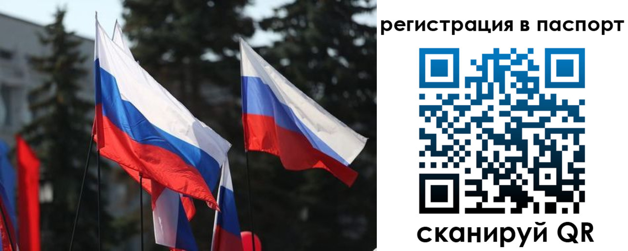 прописка штамп в Великом Новгороде